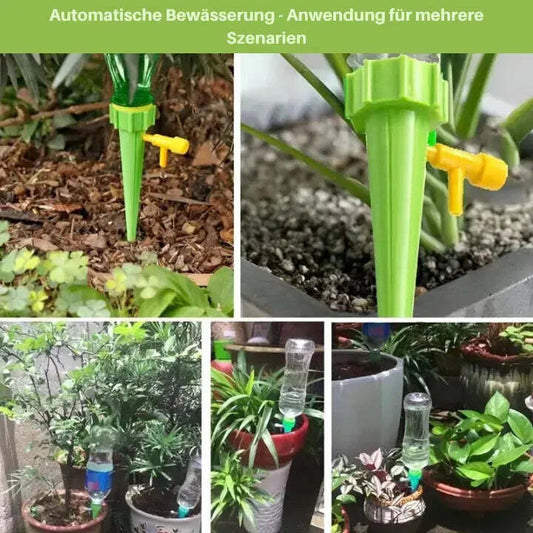 Consistent Plant Nourishment