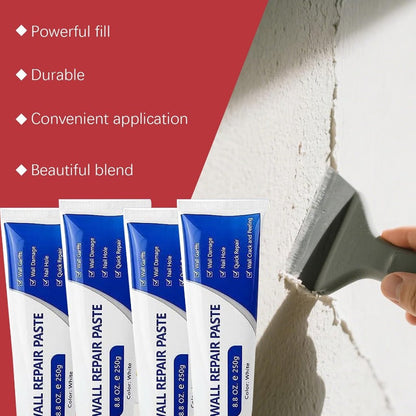 Quick-Dry Wall Repair Paste Kit